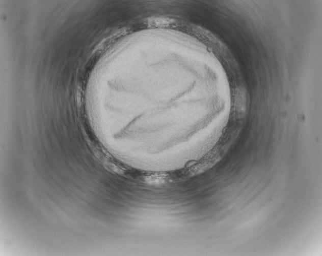 X0000087680761200706011654