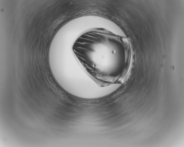 X0000087680762200706011654