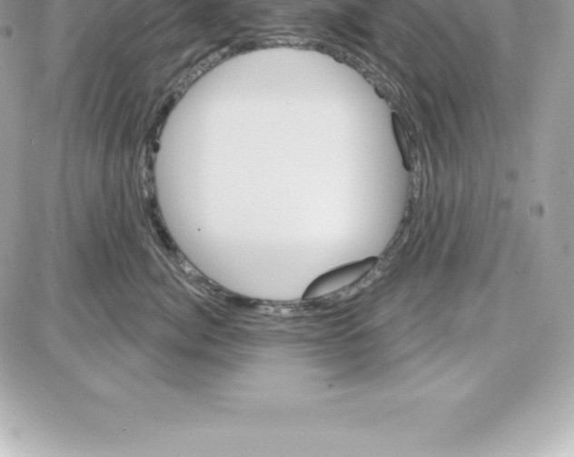 X0000087680764200706011654