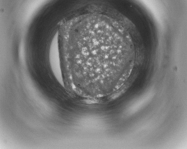 X0000087680765200706011654