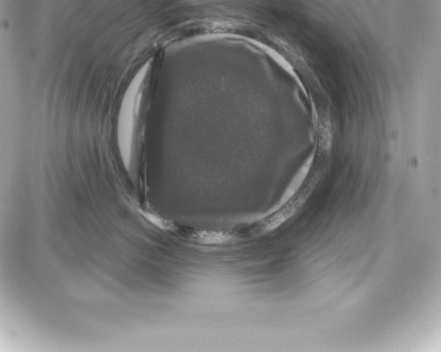 X0000087680766200706011654