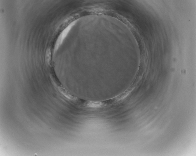 X0000087680767200706011654