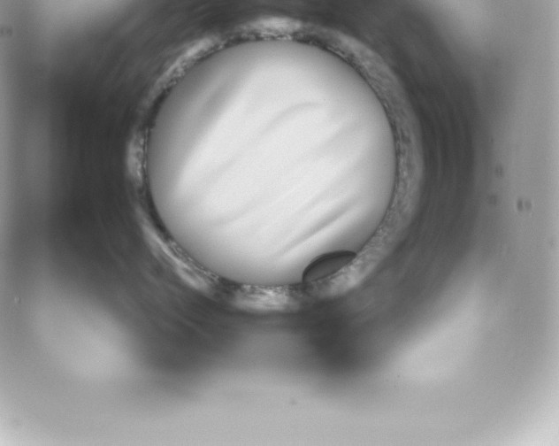 X0000087680768200706011654