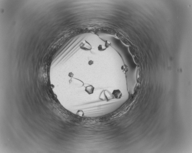 X0000087680771200706011653