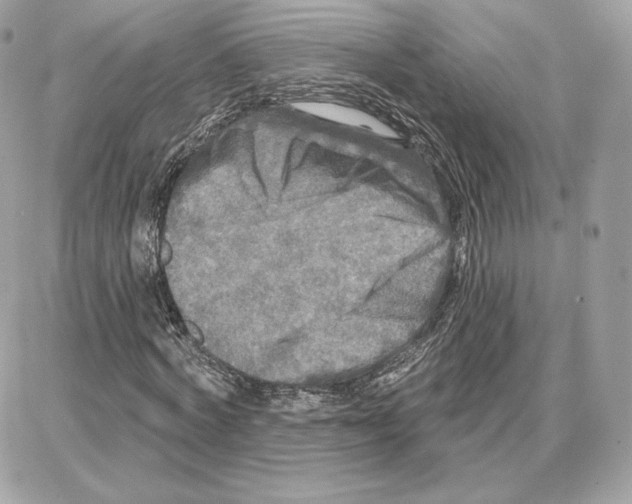 X0000087680772200706011653