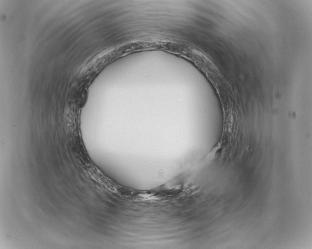 X0000087680773200706011653