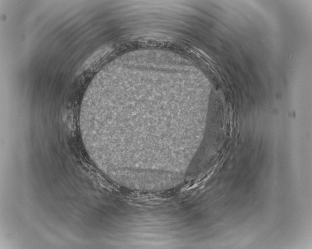 X0000087680774200706011653