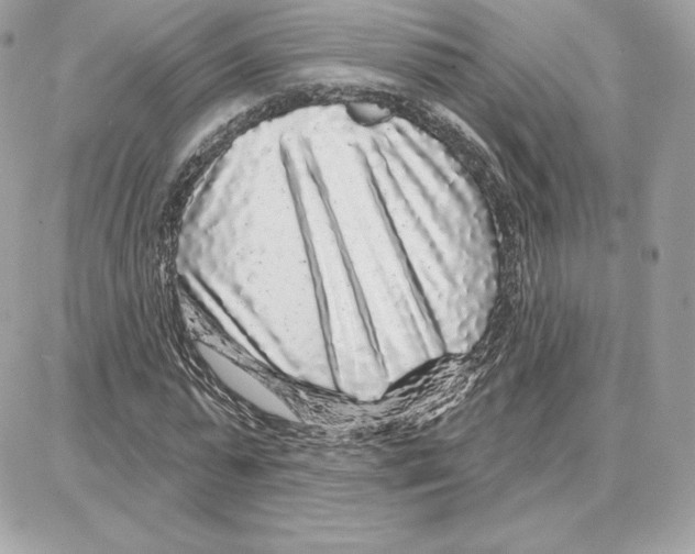 X0000087680775200706011653