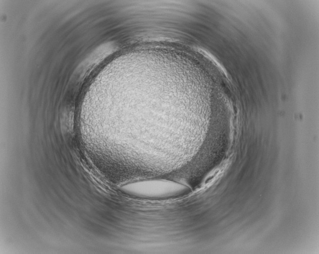 X0000087680777200706011653