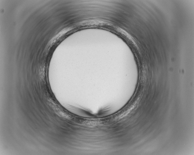 X0000087680778200706011653