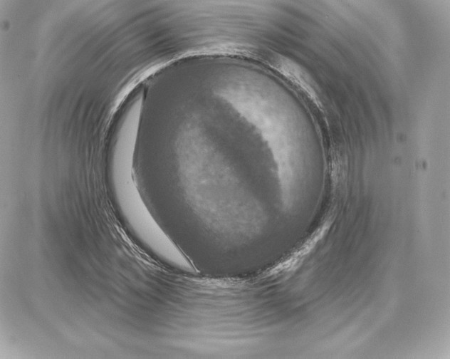 X0000087680781200706011653