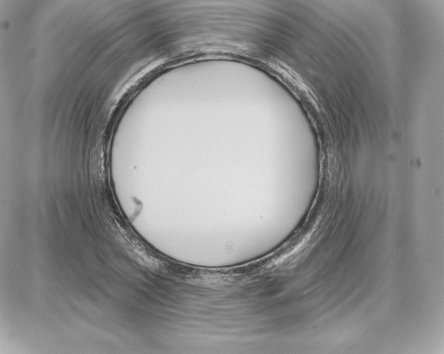 X0000087680782200706011653