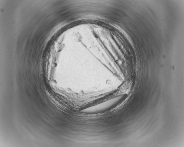 X0000087680783200706011653