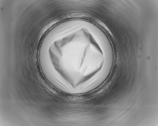 X0000087680786200706011653