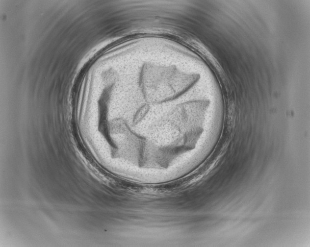 X0000087680787200706011653