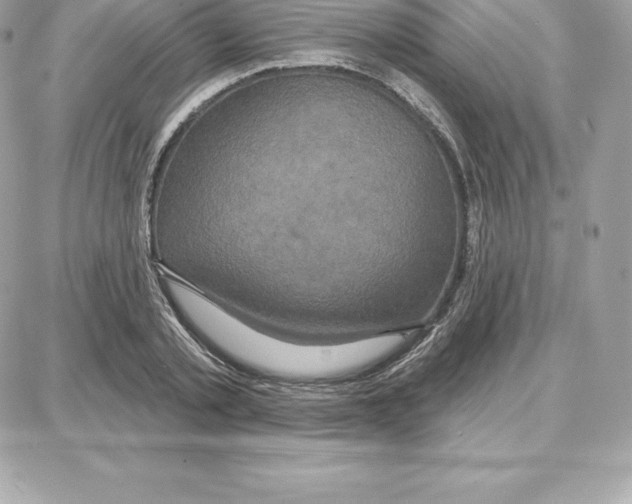 X0000087680789200706011653