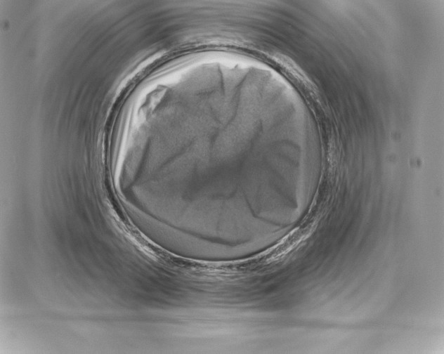 X0000087680790200706011653