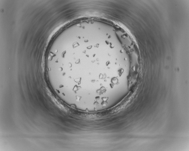 X0000087680791200706011653