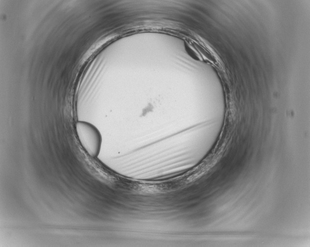 X0000087680794200706011653