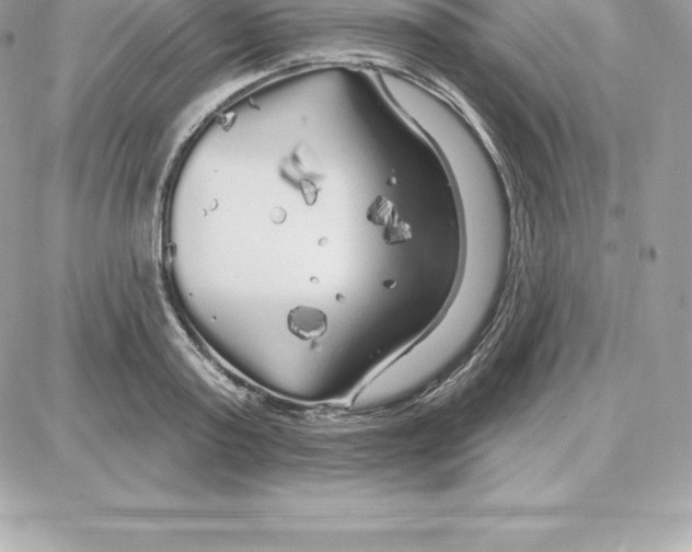 X0000087680795200706011653