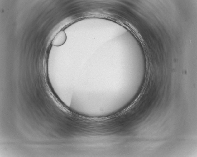 X0000087680796200706011653