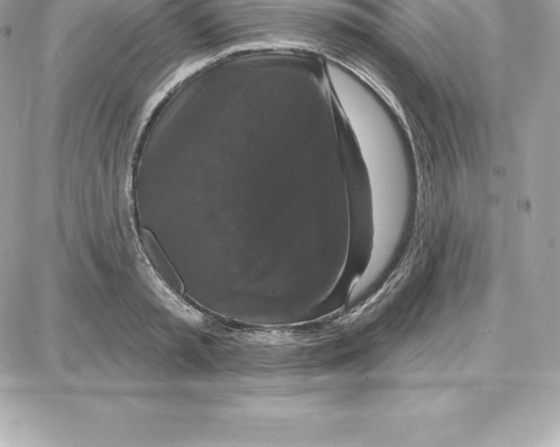 X0000087680797200706011653