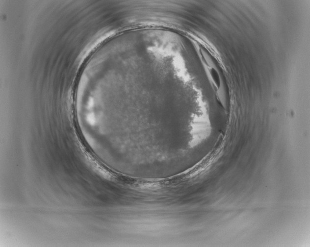 X0000087680798200706011653