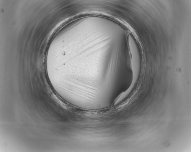 X0000087680799200706011653