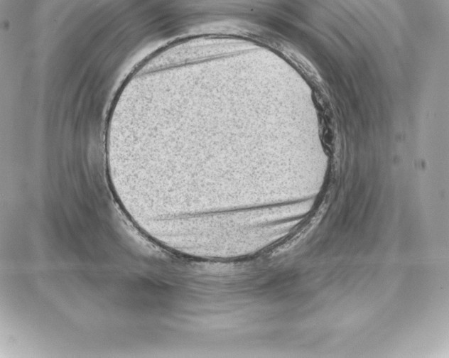 X0000087680800200706011653