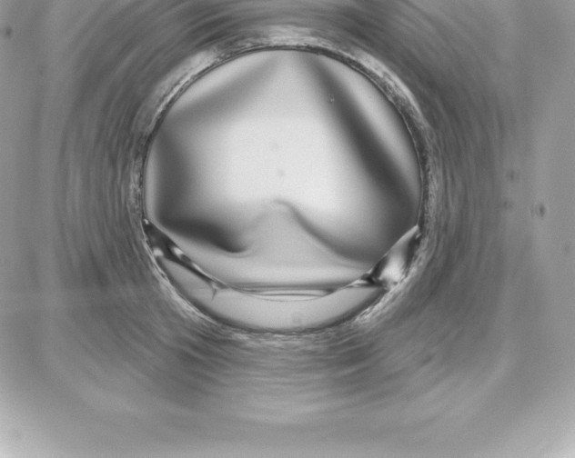 X0000087680801200706011653