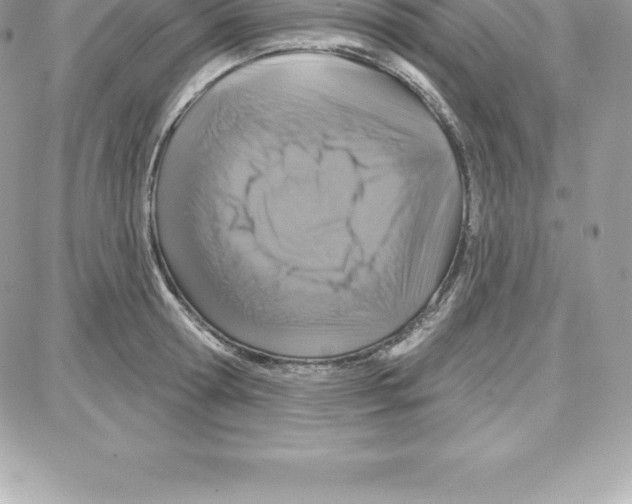 X0000087680802200706011653