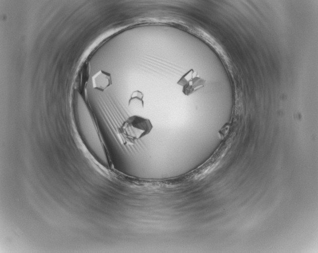 X0000087680803200706011653