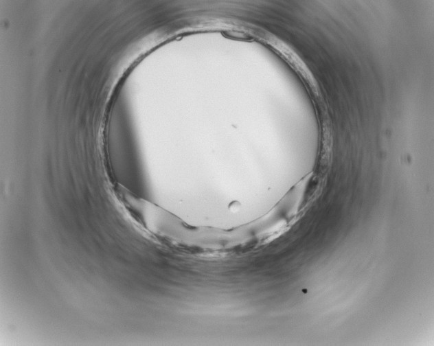 X0000087680805200706011653