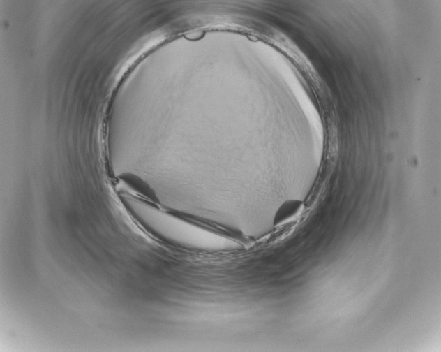 X0000087680806200706011653