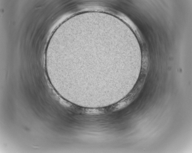 X0000087680807200706011653