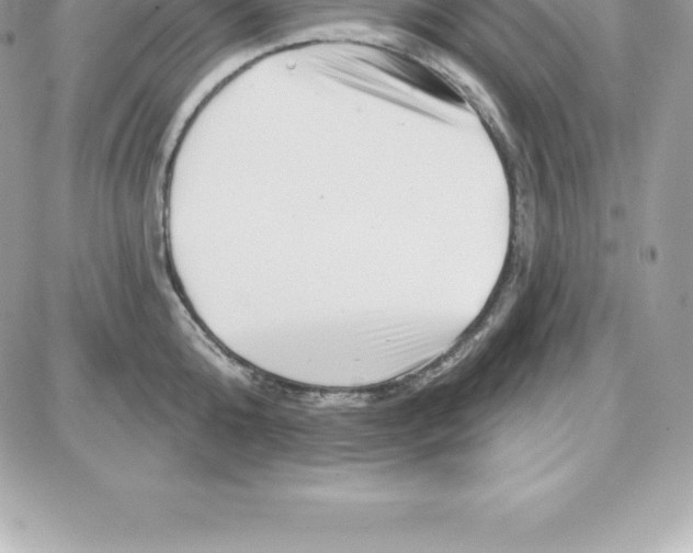 X0000087680808200706011653