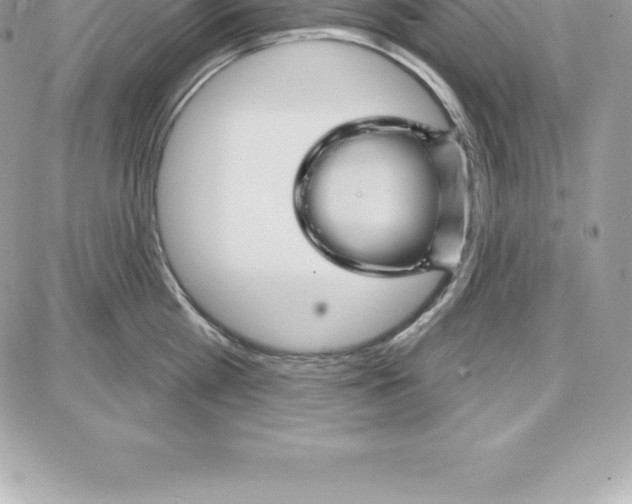 X0000087680809200706011652