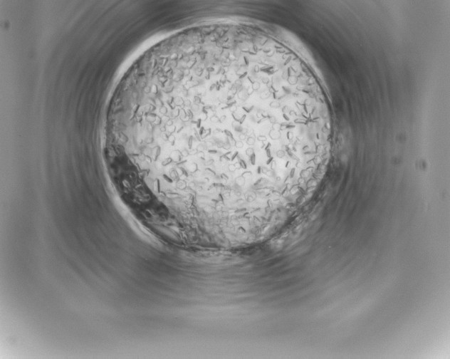 X0000087680811200706011652