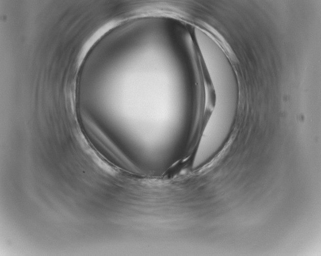 X0000087680812200706011652