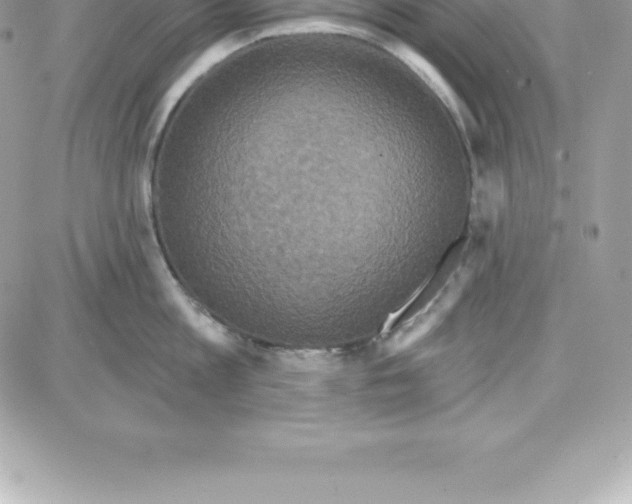 X0000087680813200706011652