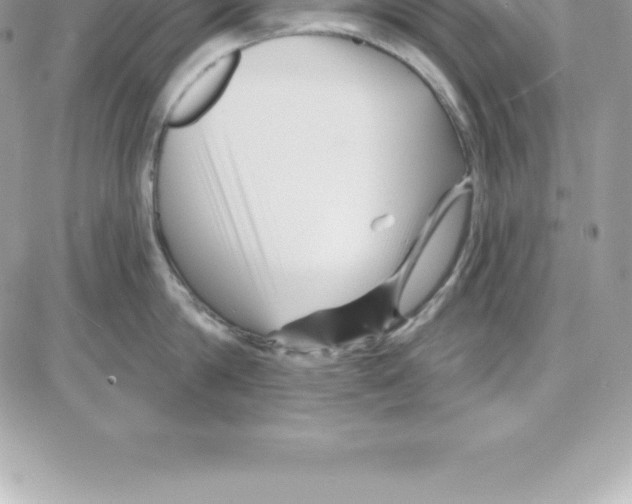 X0000087680814200706011652