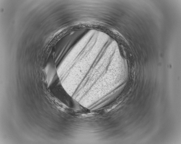 X0000087680822200706011652