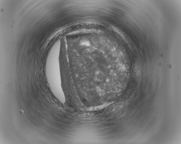 X0000087680823200706011652