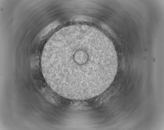 X0000087680824200706011652