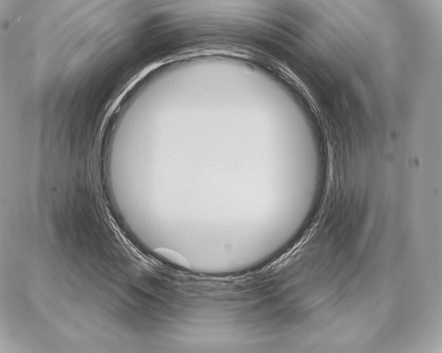 X0000087680828200706011652