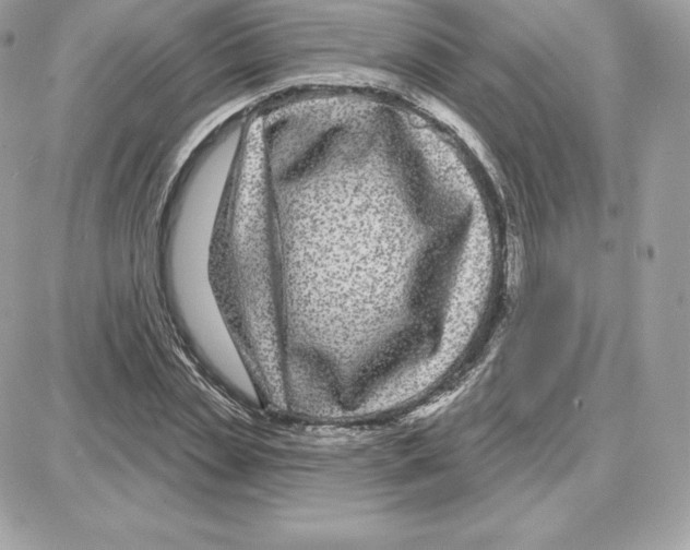 X0000087680829200706011652