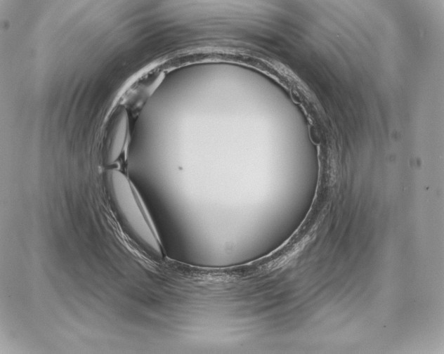 X0000087680830200706011652