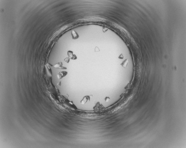 X0000087680833200706011652