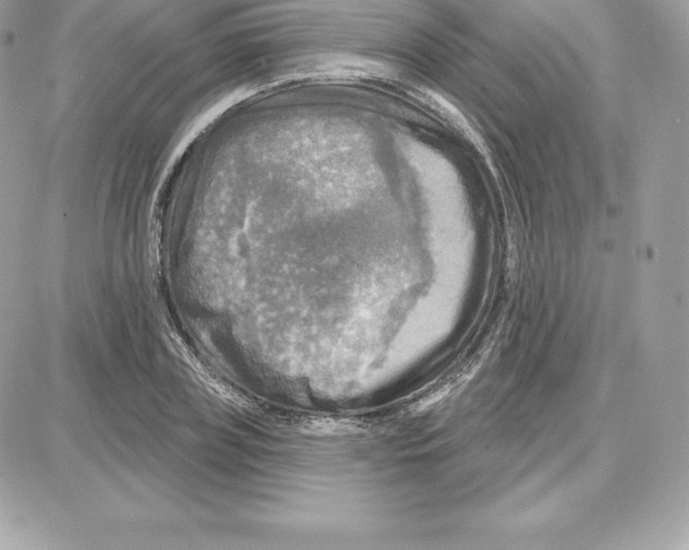 X0000087680835200706011652