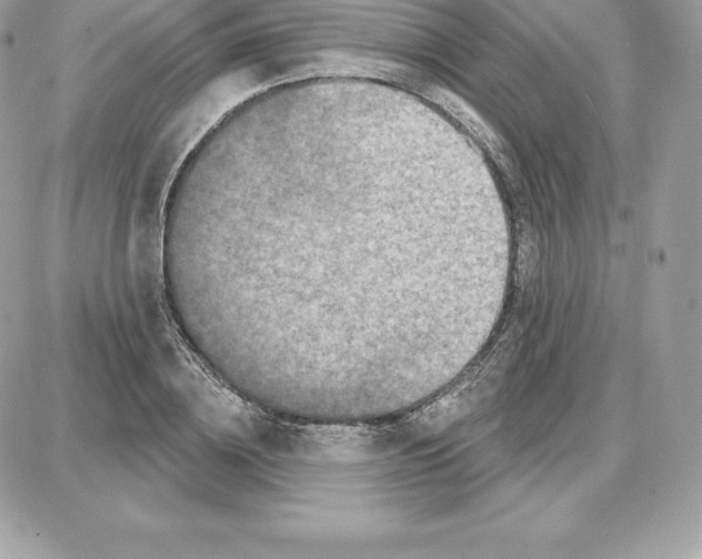 X0000087680836200706011652